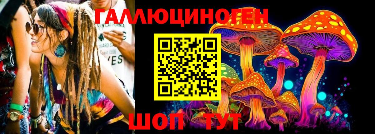 Псилоцибиновые грибы Psilocybine cubensis Кемерово